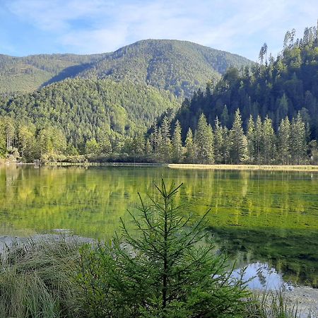 Haasenhaus Villa Hinterstoder Bagian luar foto