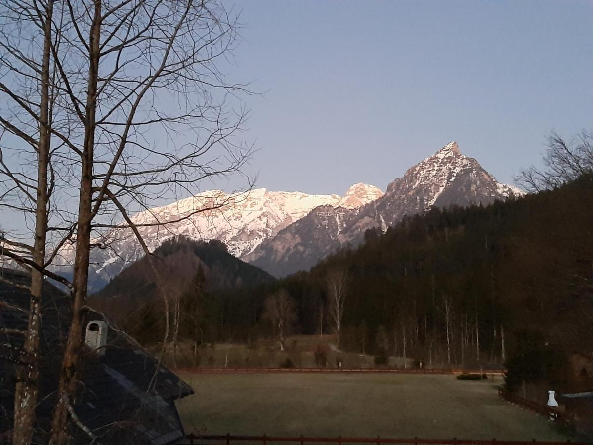 Haasenhaus Villa Hinterstoder Bagian luar foto