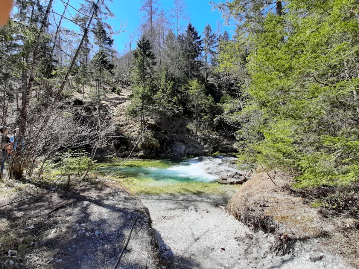 Haasenhaus Villa Hinterstoder Bagian luar foto