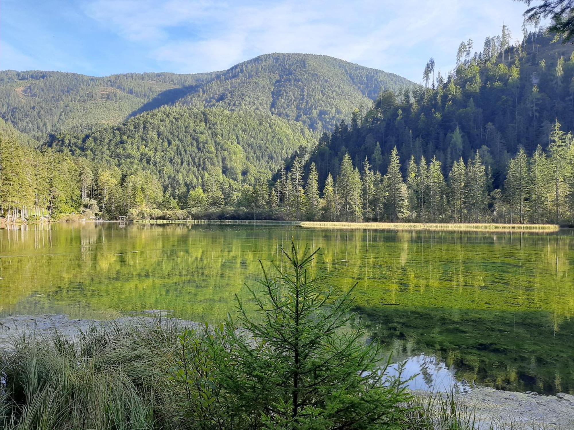 Haasenhaus Villa Hinterstoder Bagian luar foto