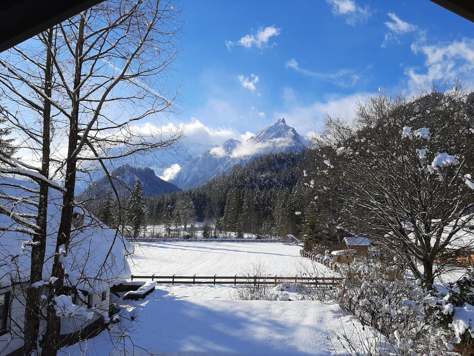 Haasenhaus Villa Hinterstoder Bagian luar foto